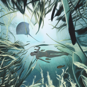 diver swimming over Posidonia fields